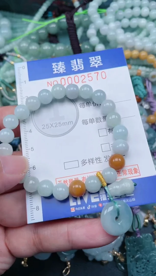 翡翠未镶嵌颈饰.0002570