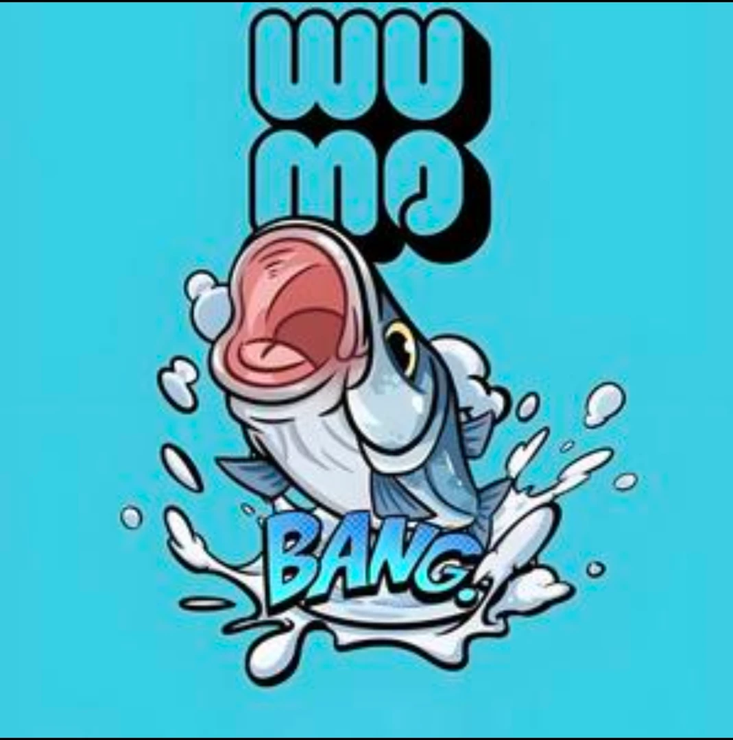 路亚用品整端待拆！