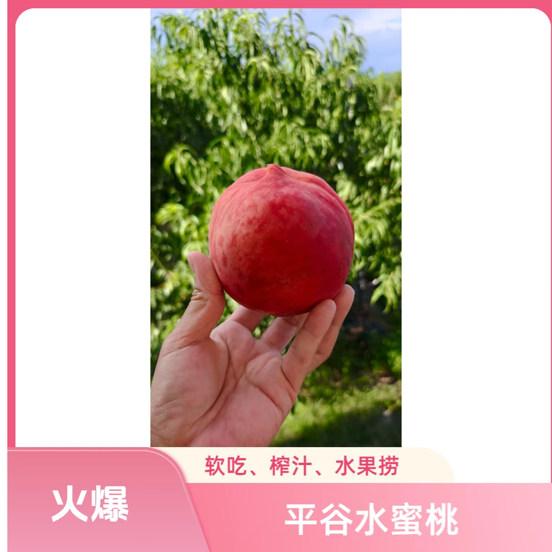 丫吉【绿色食品】特价！！！平谷水蜜桃