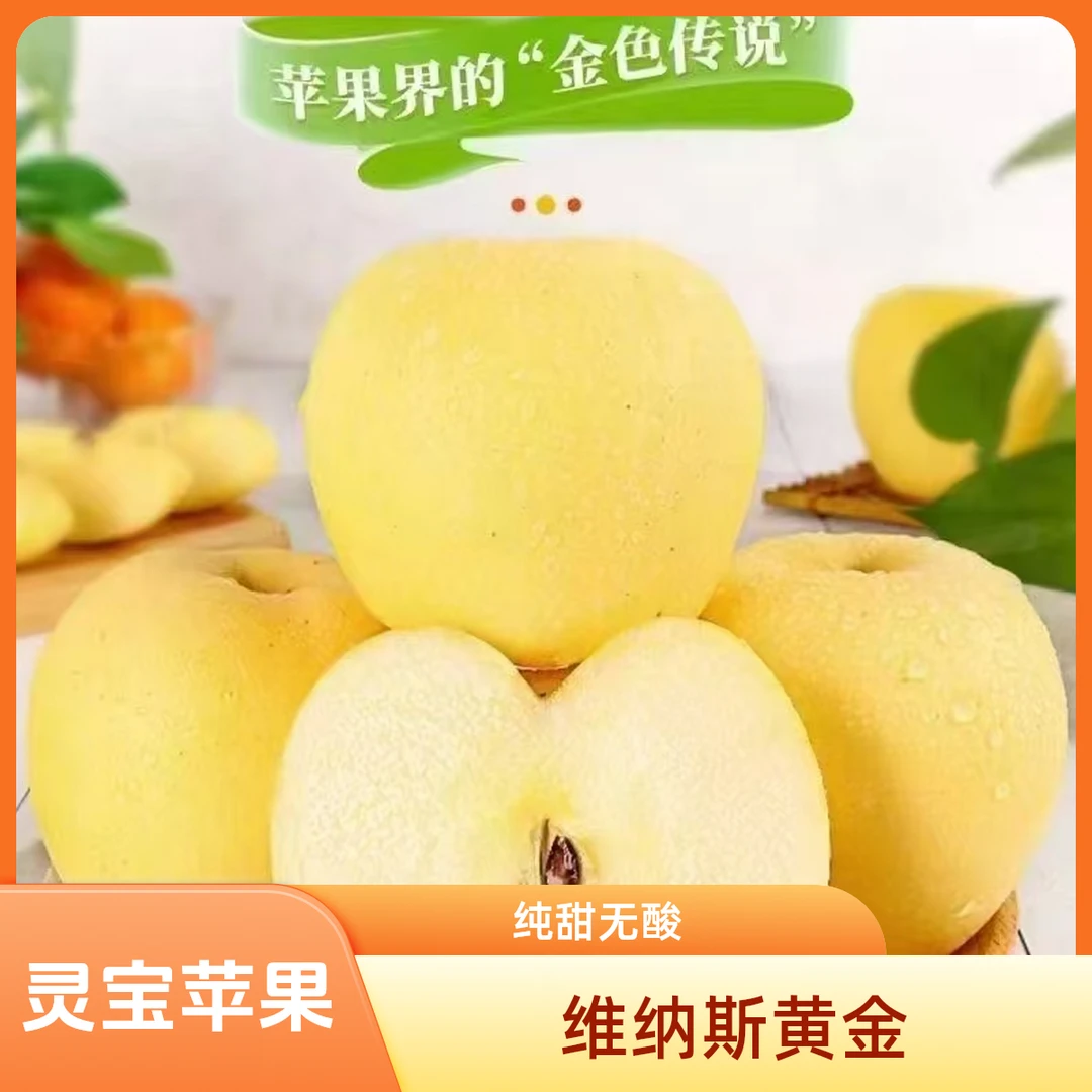 河南灵宝寺河山维纳斯黄金苹果香味浓郁纯甜无酸