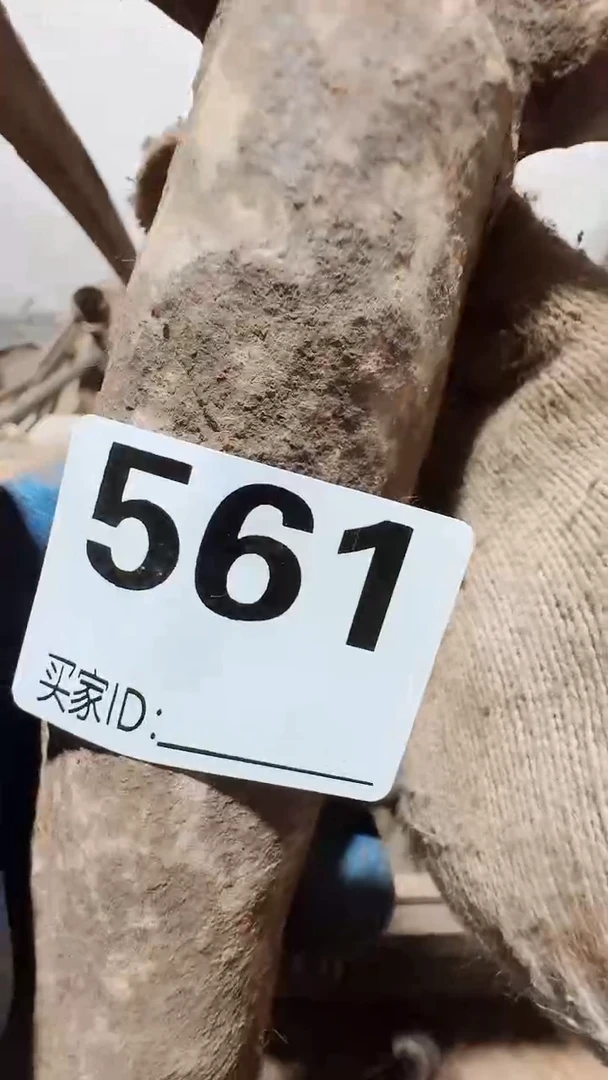 0818老王直播间专属链接