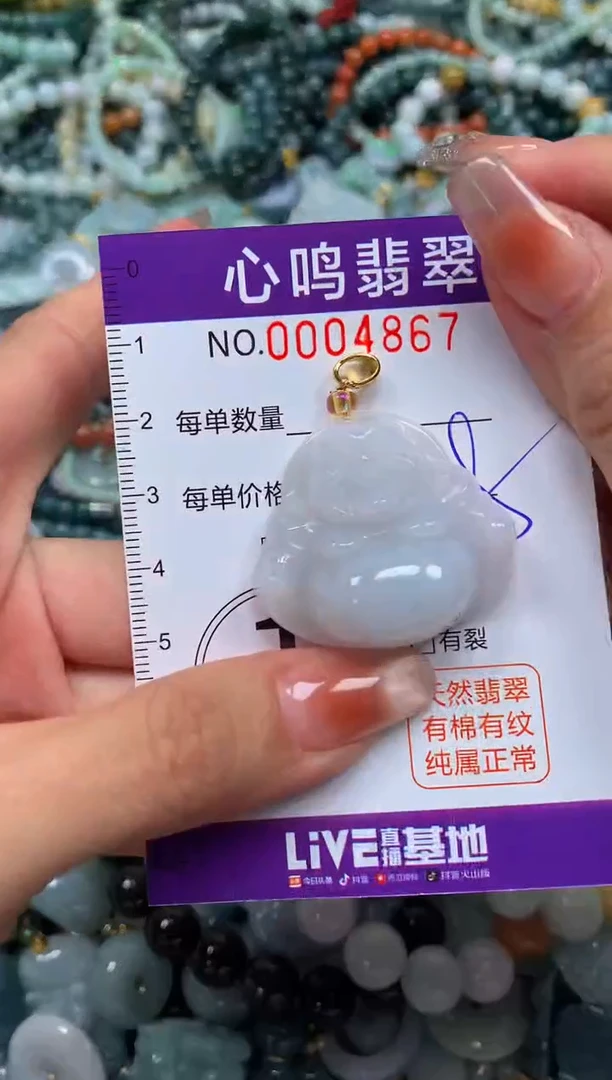 颈饰未镶嵌翡翠闪购004867