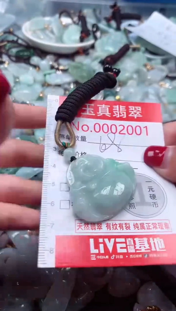 颈饰未镶嵌翡翠2001