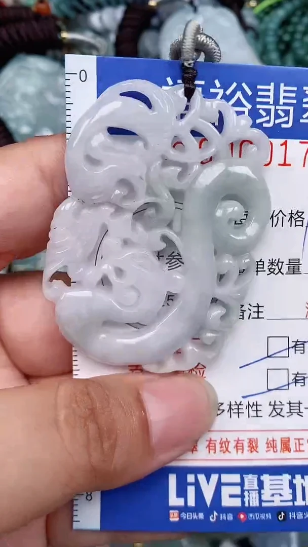 翡翠未镶嵌颈饰...0000172