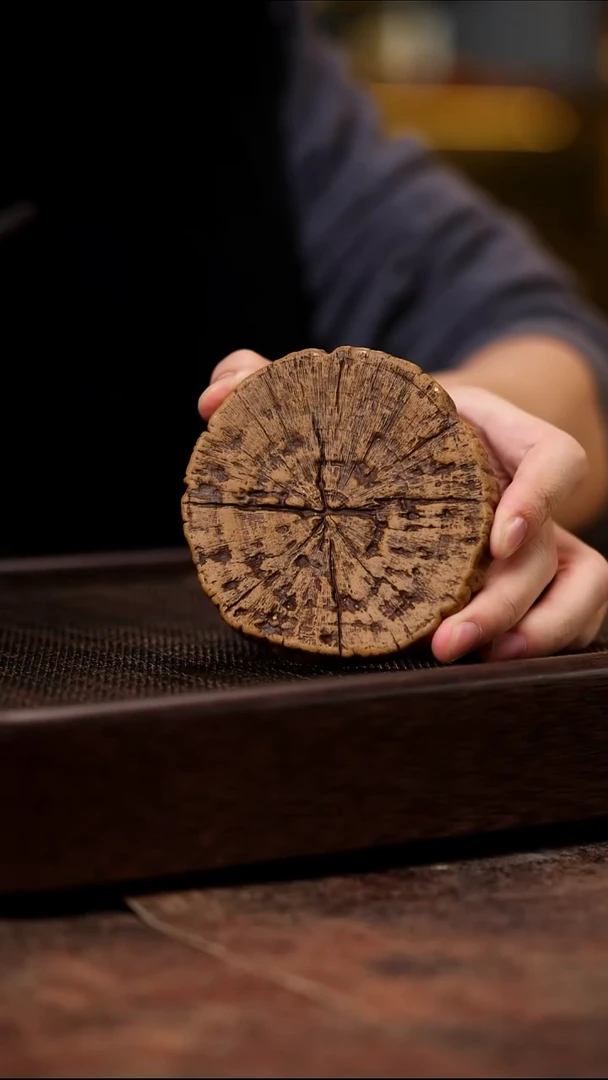 宜兴紫砂树桩壶承