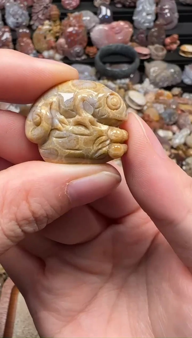 颈饰未镶嵌硅化珊瑚（珊瑚玉）482