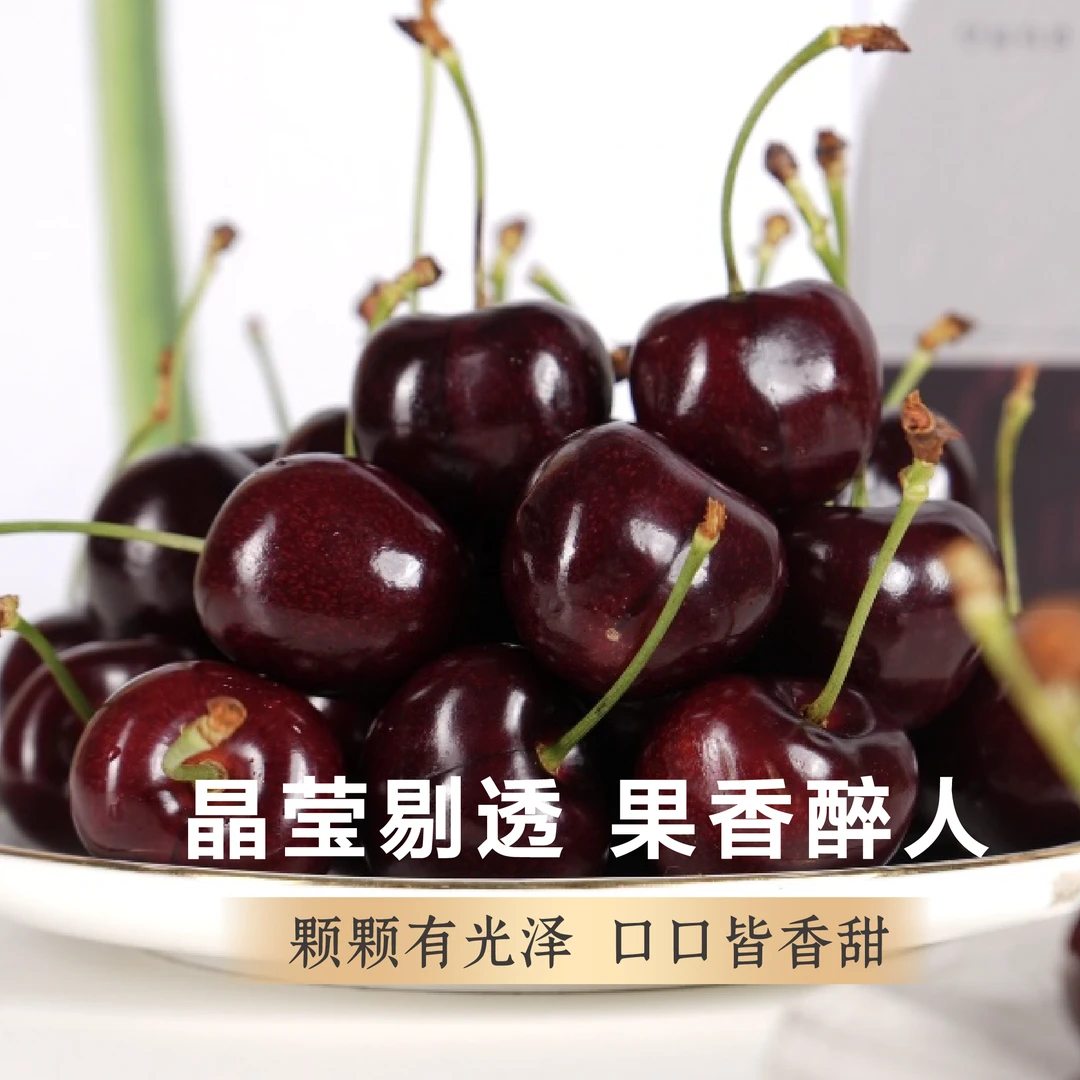 新西兰·百年纪念进口海运车厘子鲜甜J-4J/斤 内附果径卡