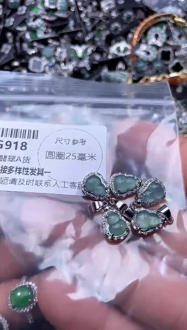 【闪购商品】翡翠颈饰未镶嵌G918多样性发其一