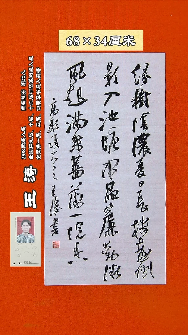 书法76R王涛书法作品