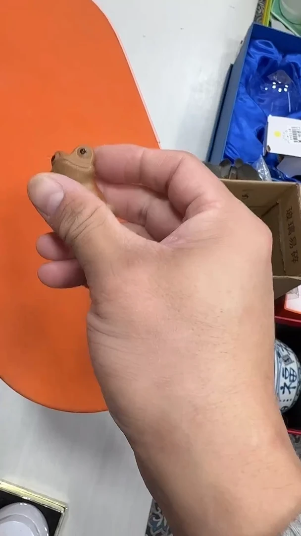 瓷片桃*子名品折扣名品折扣名品折扣@@1