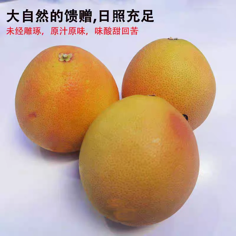 【上海发货】南非进口红心西柚新鲜柚子应季水果多汁红西柚葡萄柚