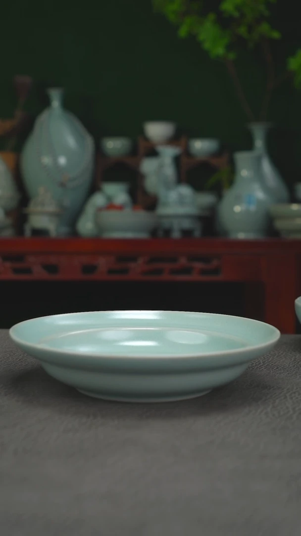 省工 73号餐盘  18.5微瑕简包-二