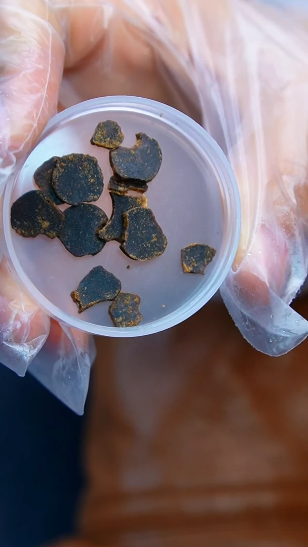 沉香沉香碎屑越南芽庄白棋楠沉水原材1.59克