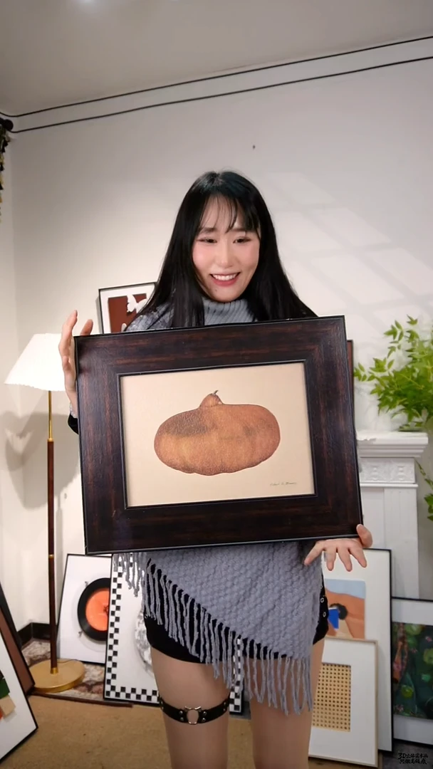 带灯款50*40 葫芦挂画环保外框