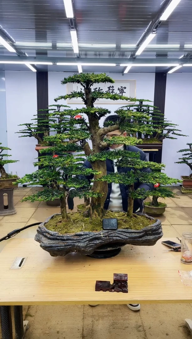 【闪购商品】000000000000