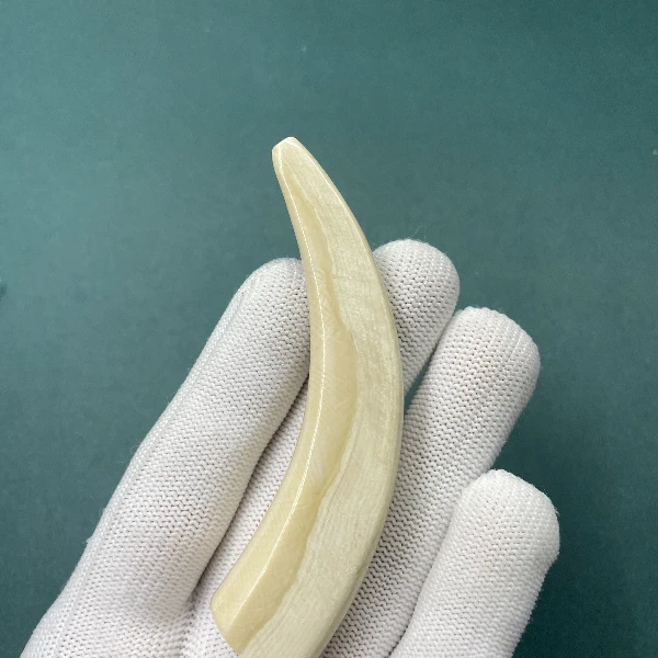 E6145天然猛犸牙牙尖支持鉴定 假一罚四