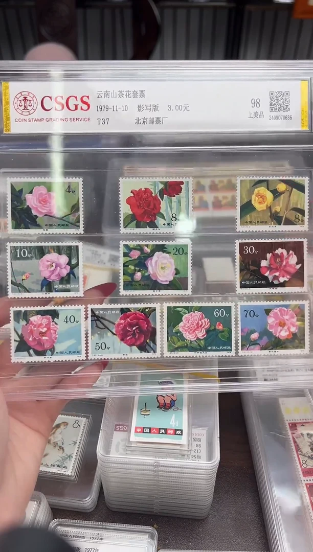 【闪购商品】T37云南山茶花套票 精大盒