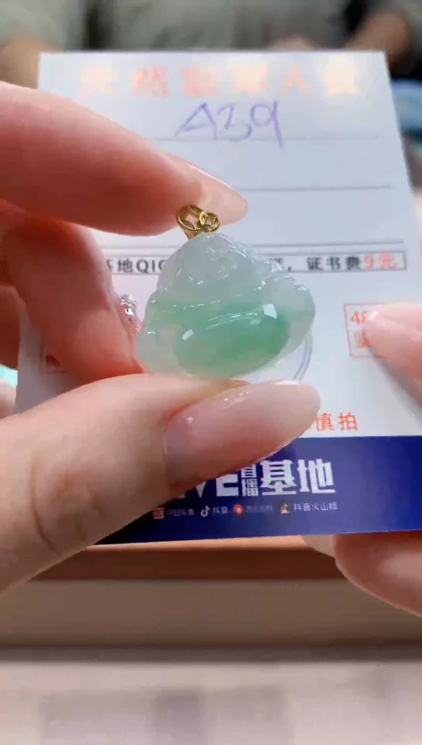 颈饰未镶嵌翡翠天然缅甸a货翡翠