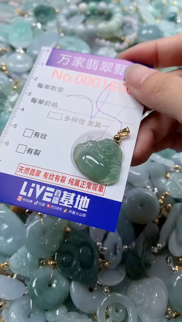 翡翠未镶嵌吊坠(不含链)1836