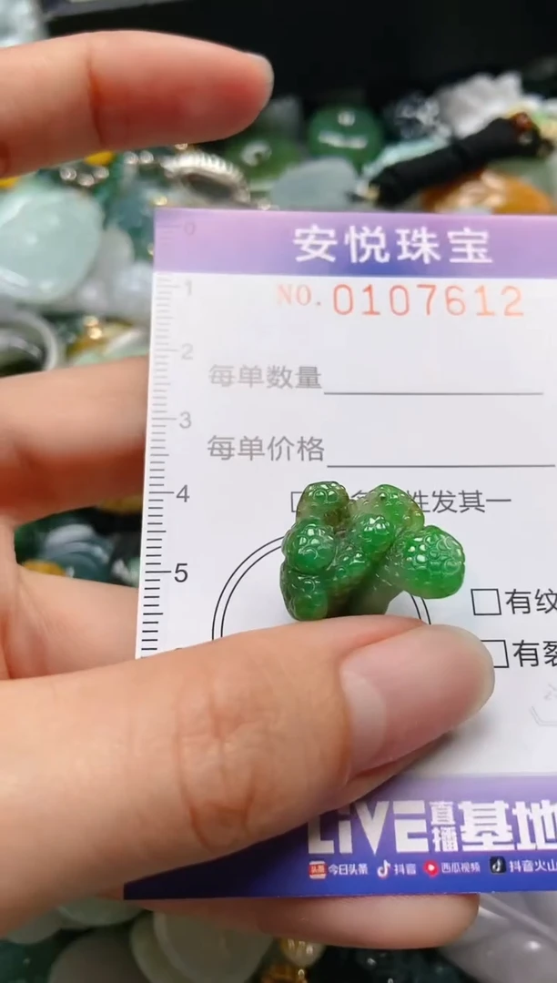 【闪购商品】翡翠颈饰未镶嵌闪购0107612