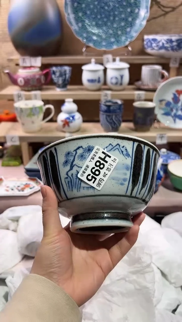 瓷片            E895