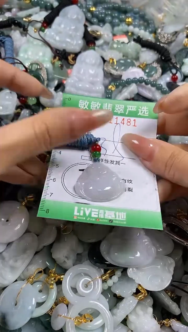 【闪购商品】翡翠颈饰未镶嵌闪购0111481