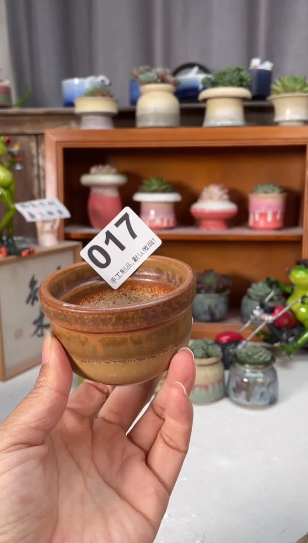 瓷片017小芳直播编号