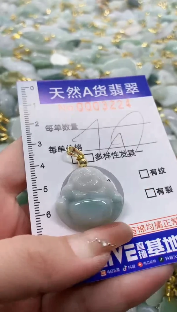 颈饰未镶嵌翡翠天然A货翡翠