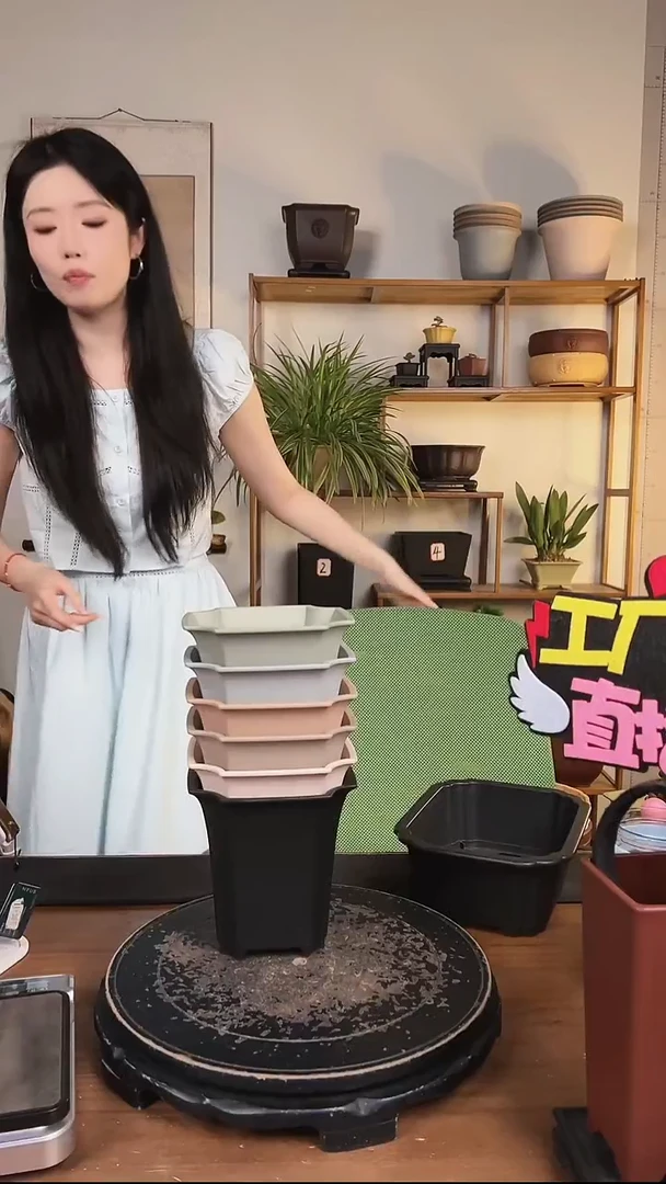 14.5四方尊 6只装颜色随机