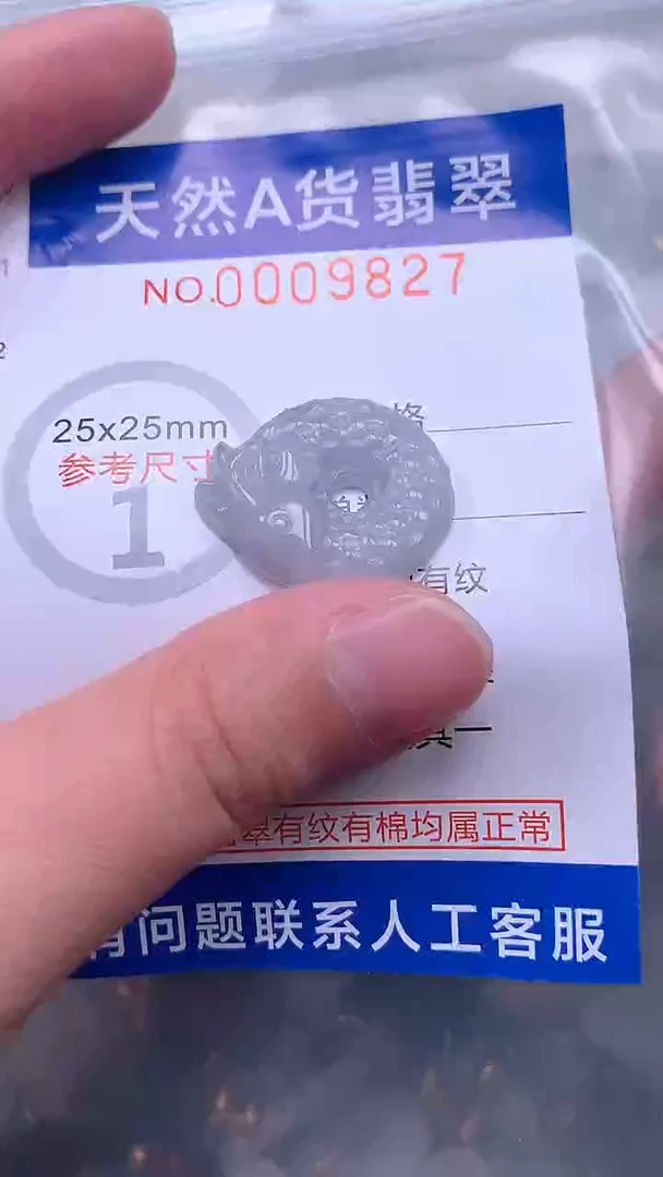 翡翠未镶嵌吊坠(不含链)1