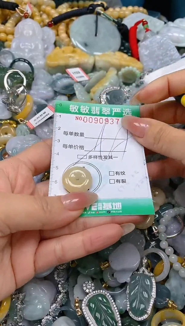 【闪购商品】翡翠颈饰未镶嵌闪购0090937多样性发其一