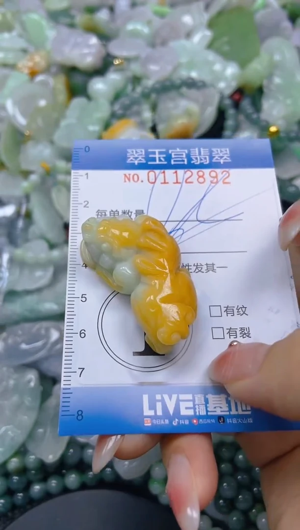 翡翠未镶嵌颈饰闪购0112892