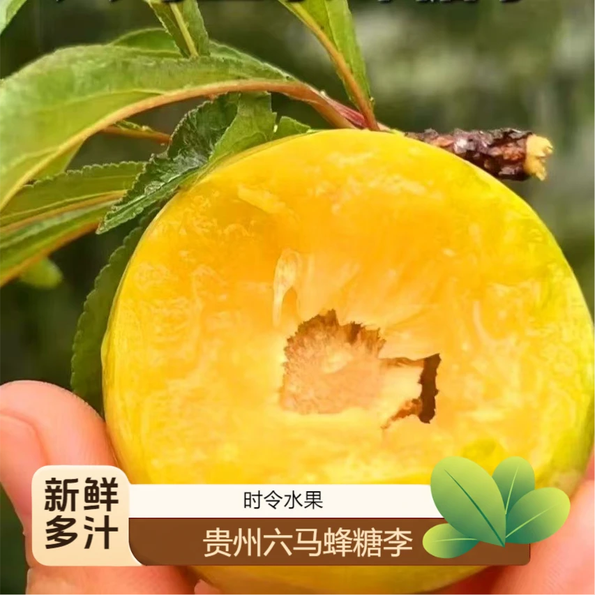 【顺丰EMS包邮】贵州六马蜂糖李新鲜当季水果脆甜脱骨顺丰包邮