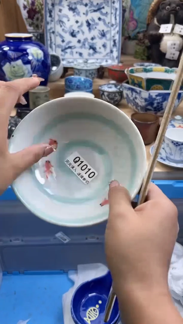【闪购商品】瓷片1010qqqqqqqqqqqq