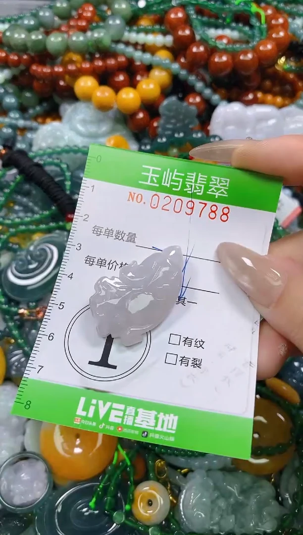 颈饰未镶嵌翡翠闪购0209788