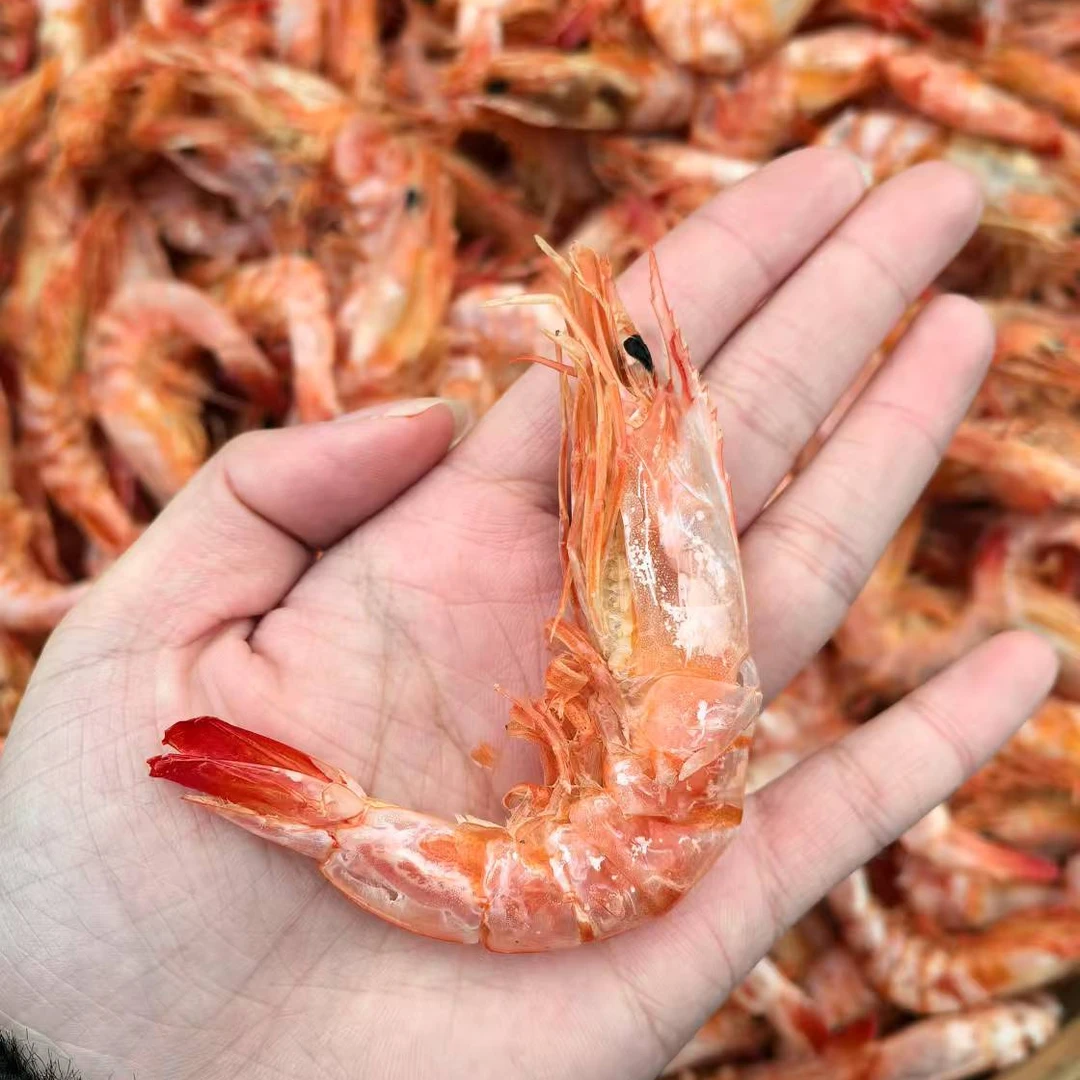大号 汕尾本港海虾 海直虾 虾干
