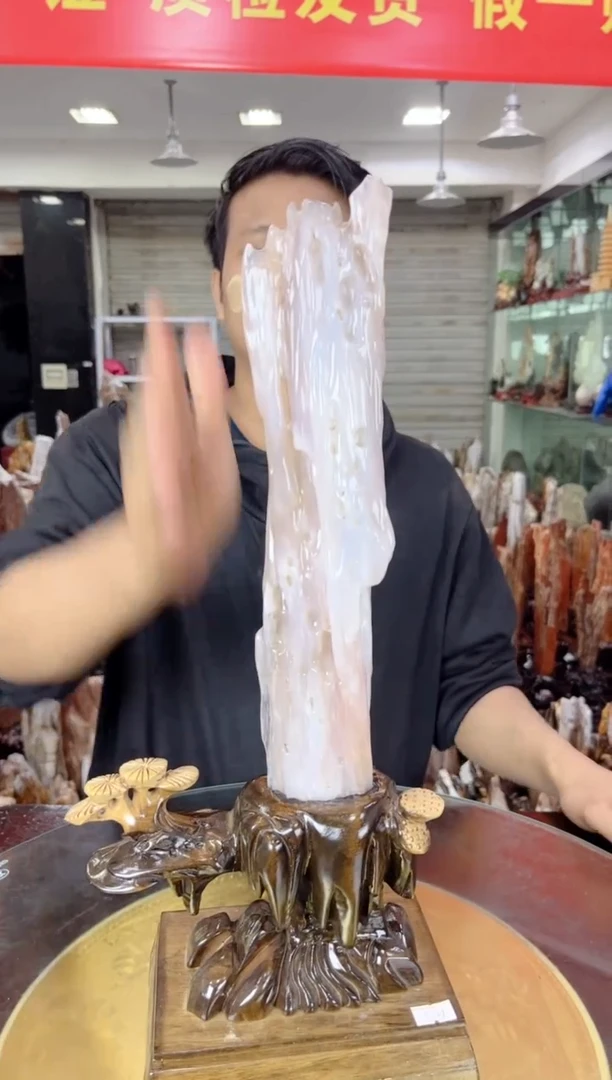 【闪购商品】硅化玉珠宝奇石未镶嵌缅甸天然树化玉