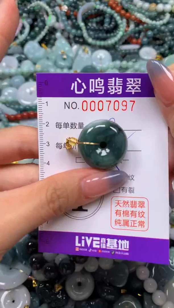 颈饰未镶嵌翡翠闪购007097