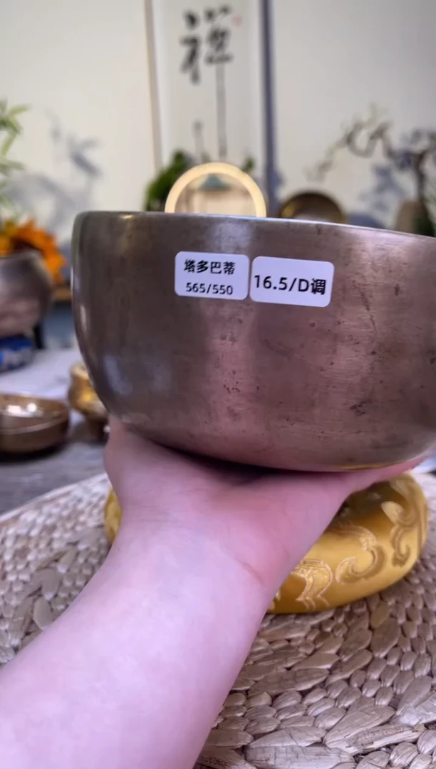 【闪购商品】塔多巴蒂口径16.5CM-D调（无配件）