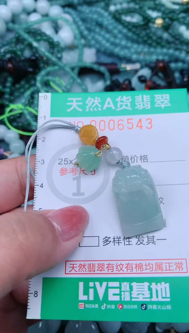 【闪购商品】翡翠颈饰未镶嵌.0006543