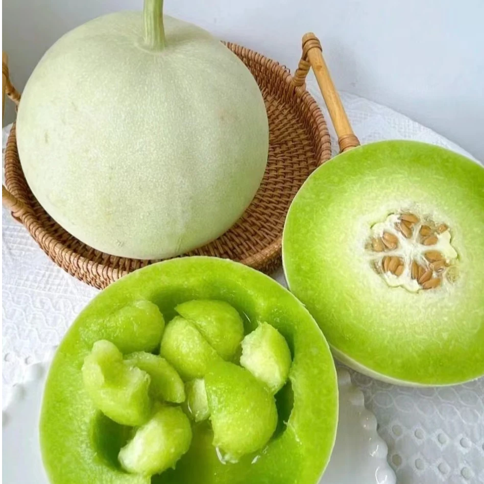 海南奶香蜜瓜2粒 软甜肉质绵密多汁绿色果肉蜜瓜包赔