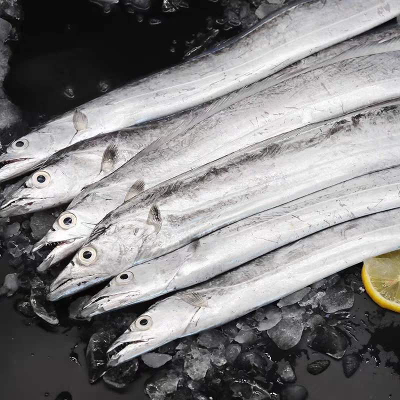 冻带鱼1条 约300g~350g