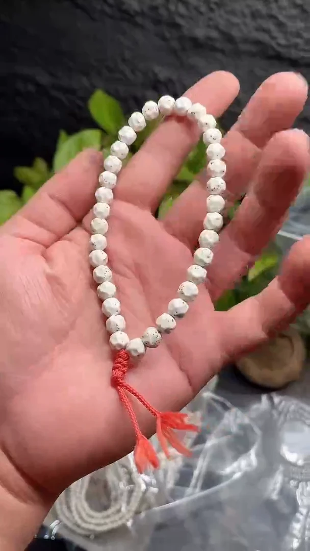 星月菩提手串海南星月菩提《无相手持》8X8手持
