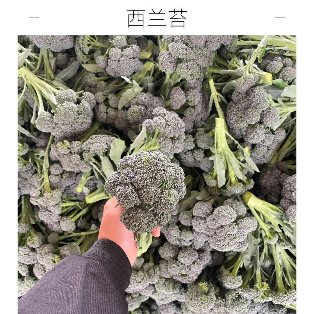 广西新鲜甜杆西兰苔长杆时令农家蔬菜花现摘新鲜蔬菜2/3/5斤