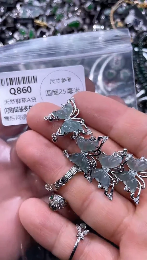 【闪购商品】翡翠颈饰未镶嵌Q860多样性发其一