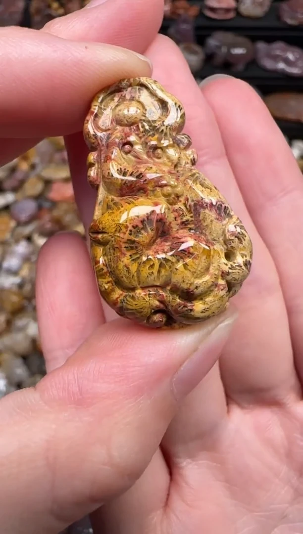 颈饰未镶嵌硅化珊瑚（珊瑚玉）179