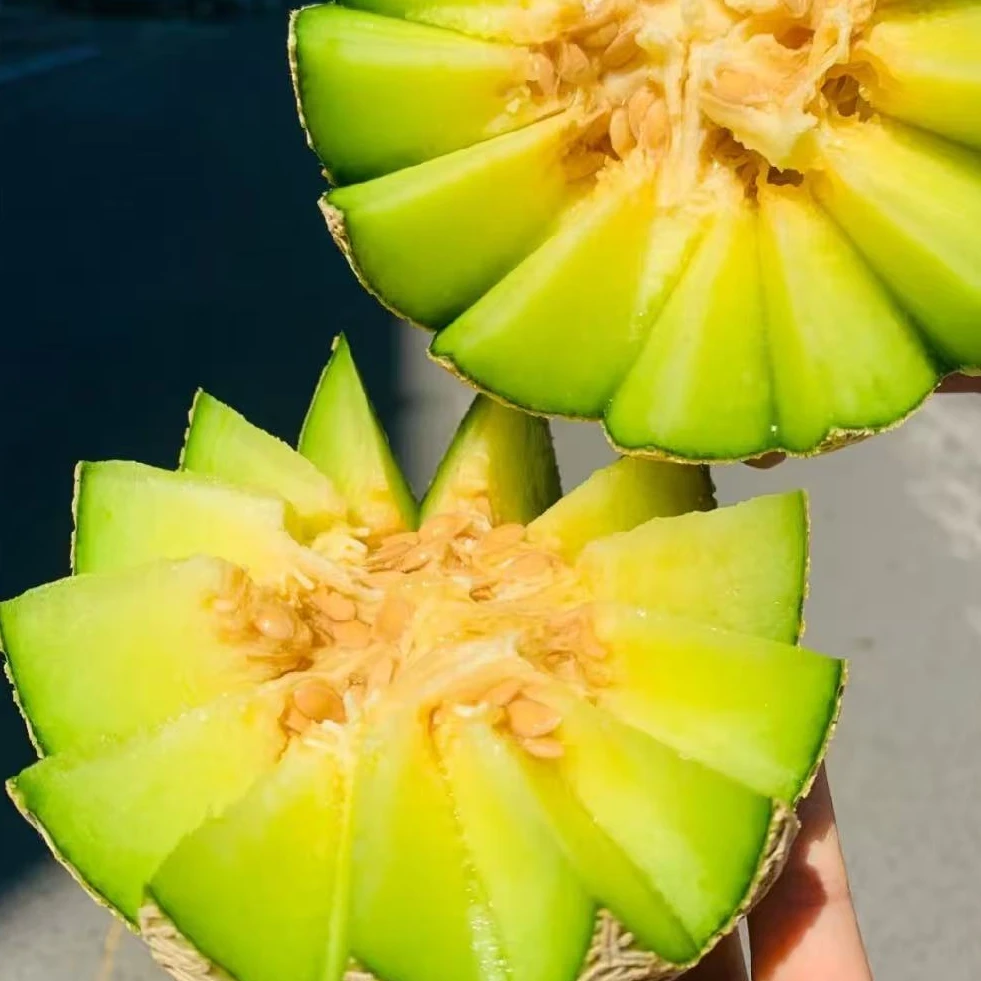 果切【500g】潘多蜜瓜切盒