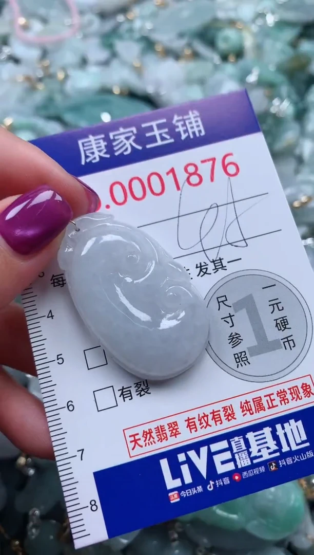 颈饰未镶嵌翡翠1876