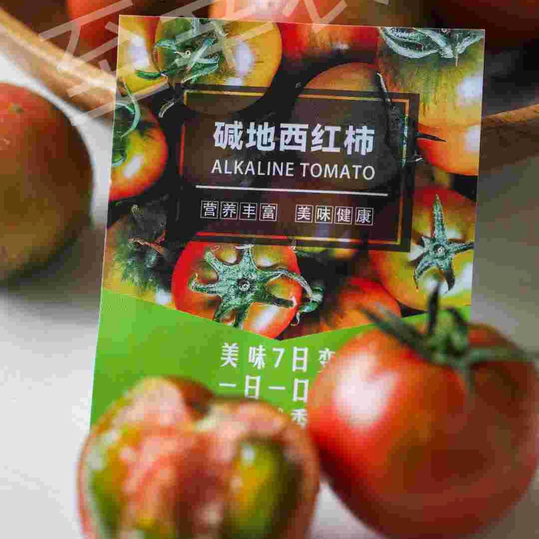 【顺丰包邮】盘锦碱地柿子顺丰包邮铁皮草莓柿子水果番茄西红柿