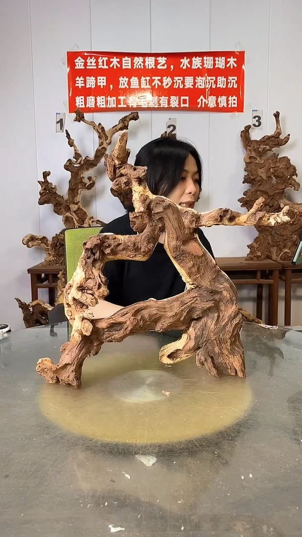 香榧木金丝红木 羊蹄甲